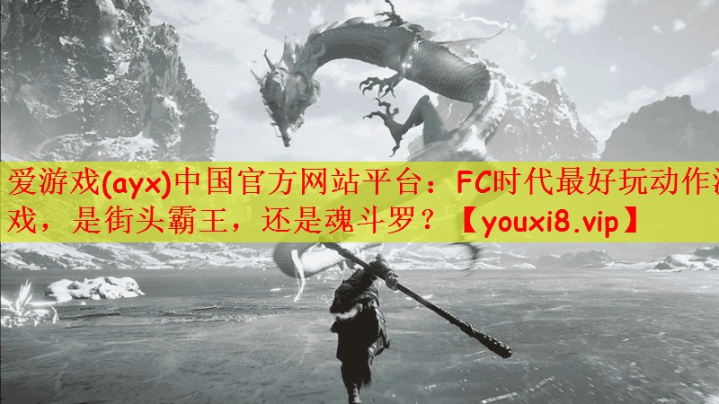爱游戏(ayx)中国官方网站平台：FC时代最好玩动作游戏，是街头霸王，还是魂斗罗？